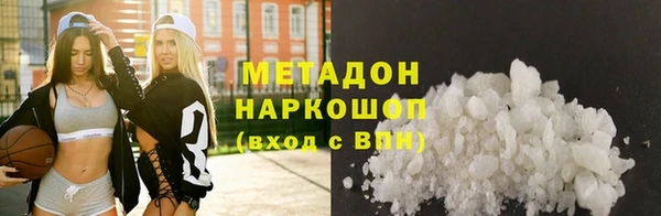сатива Новозыбков