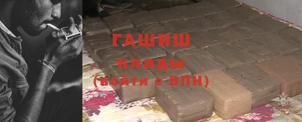 сатива Новозыбков
