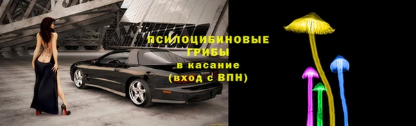 шишки Абинск