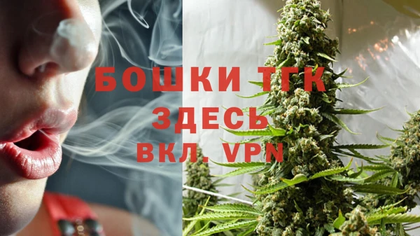 сатива Новозыбков