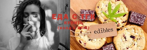 сатива Новозыбков