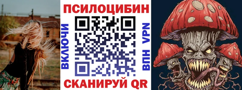где продают наркотики  Приволжск  Псилоцибиновые грибы Psilocybine cubensis 